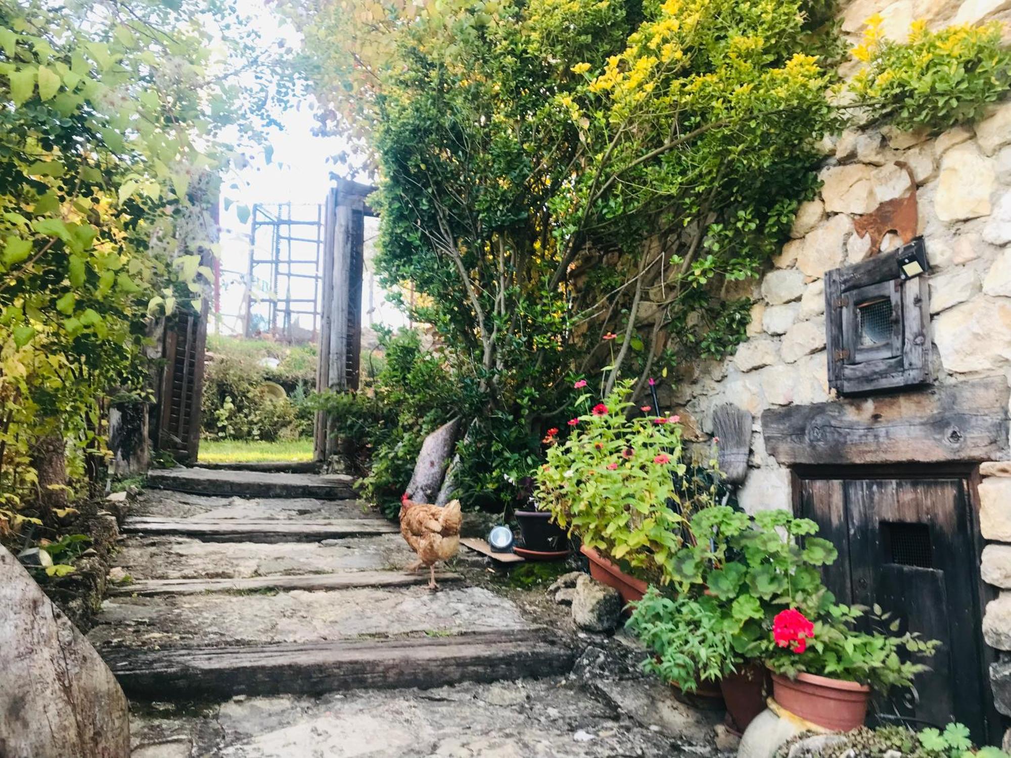 Casas Rurales Chon Alto Tajo Пералехос-де-лас-Тручас Экстерьер фото
