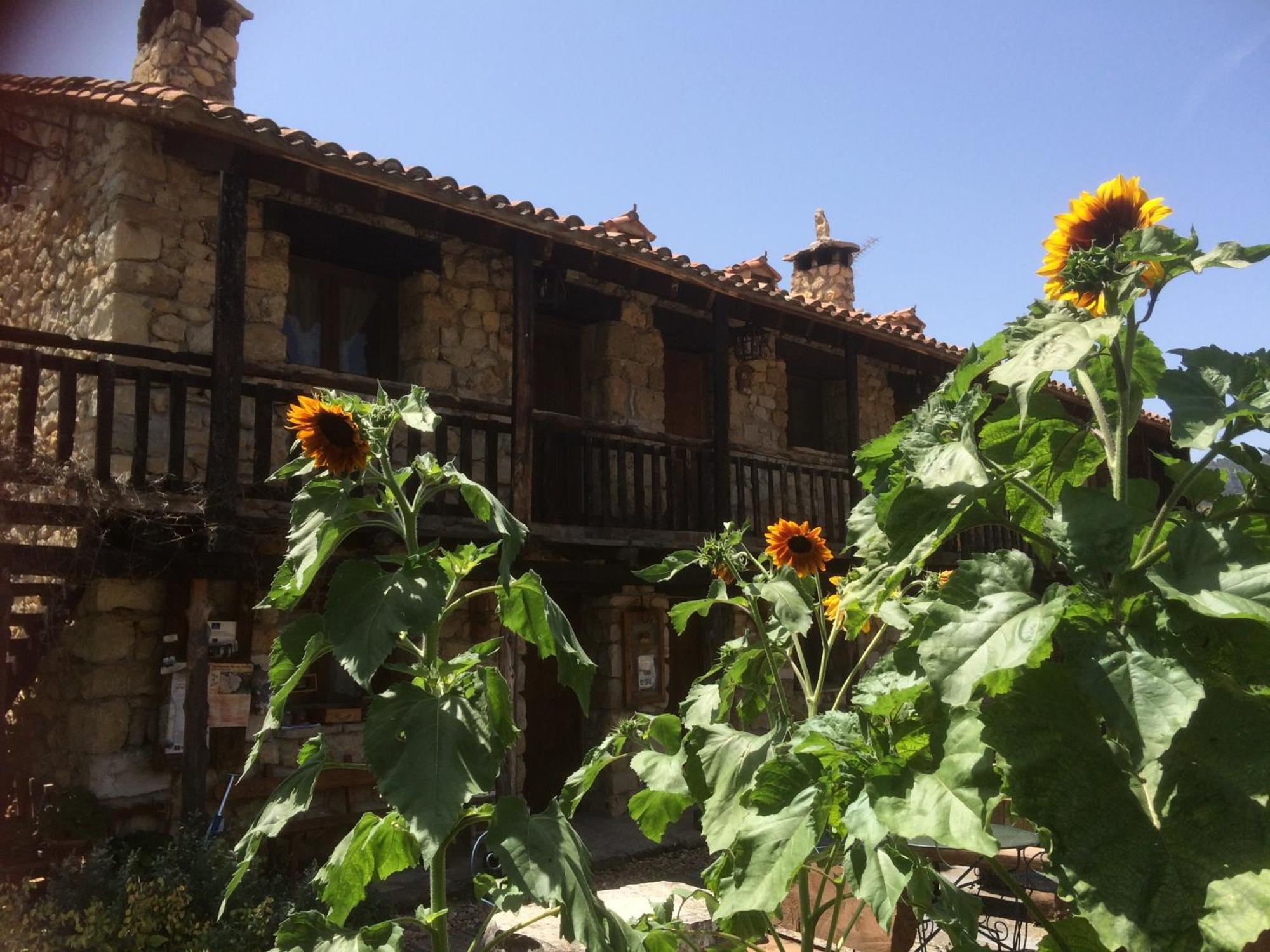 Casas Rurales Chon Alto Tajo Пералехос-де-лас-Тручас Экстерьер фото